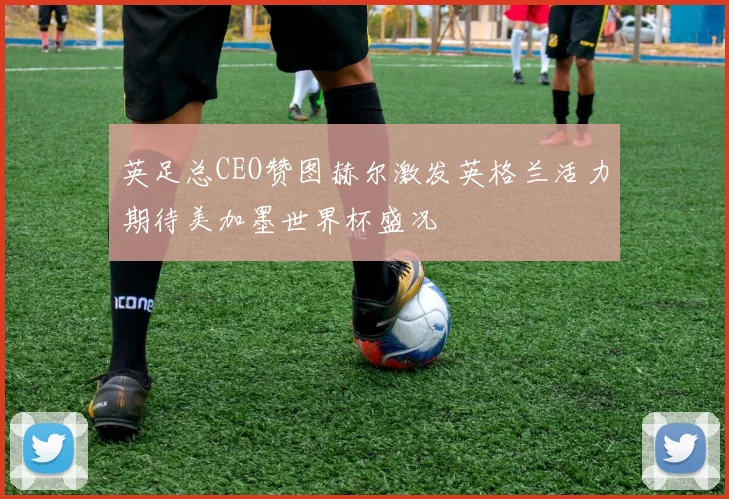 英足总CEO赞图赫尔激发英格兰活力期待美加墨世界杯盛况