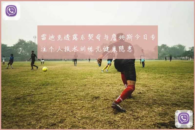 雷迪克透露东契奇与詹姆斯今日专注个人技术训练无健康隐患