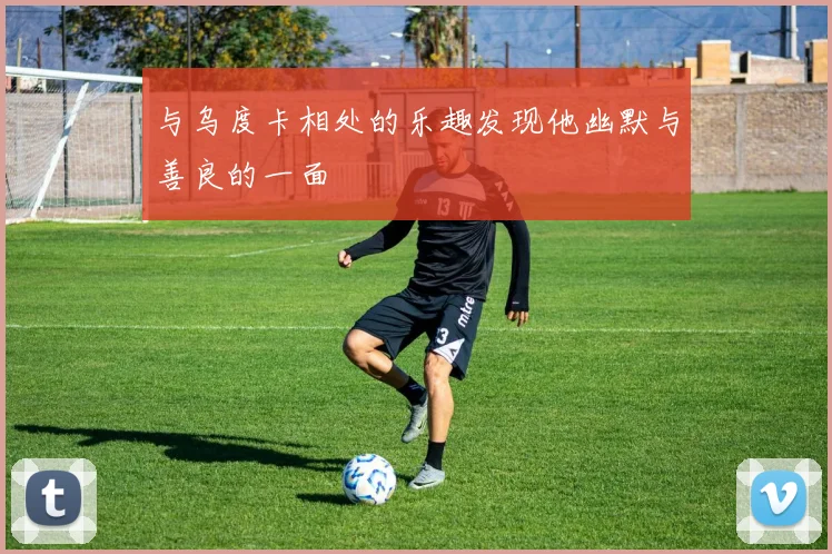 与乌度卡相处的乐趣发现他幽默与善良的一面
