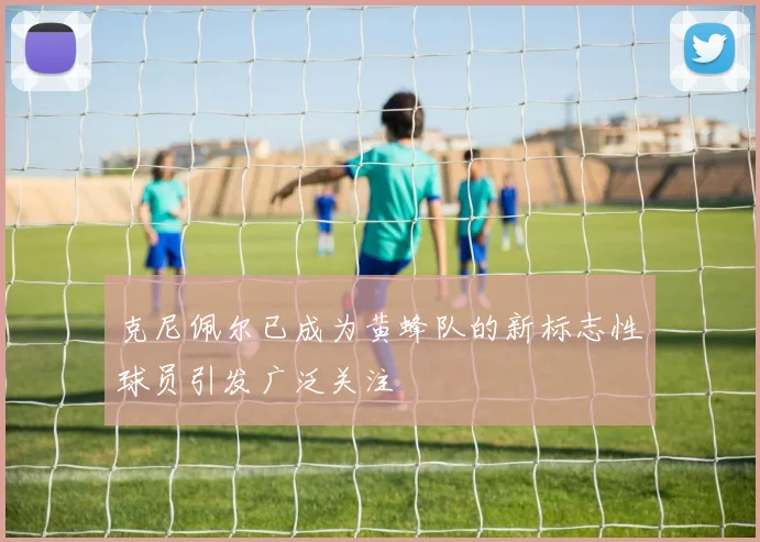 克尼佩尔已成为黄蜂队的新标志性球员引发广泛关注