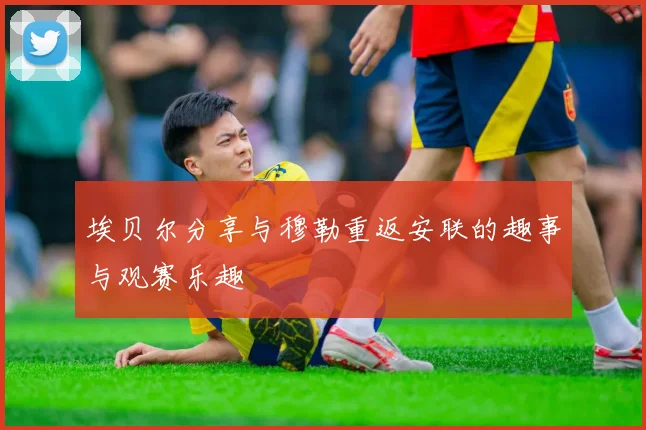 埃贝尔分享与穆勒重返安联的趣事与观赛乐趣