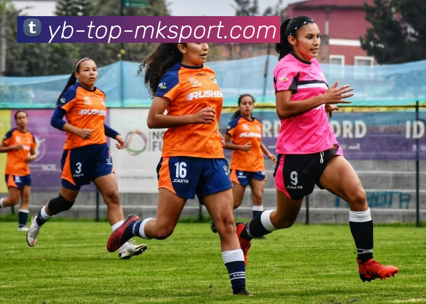 MK体育APP 高清赛事图